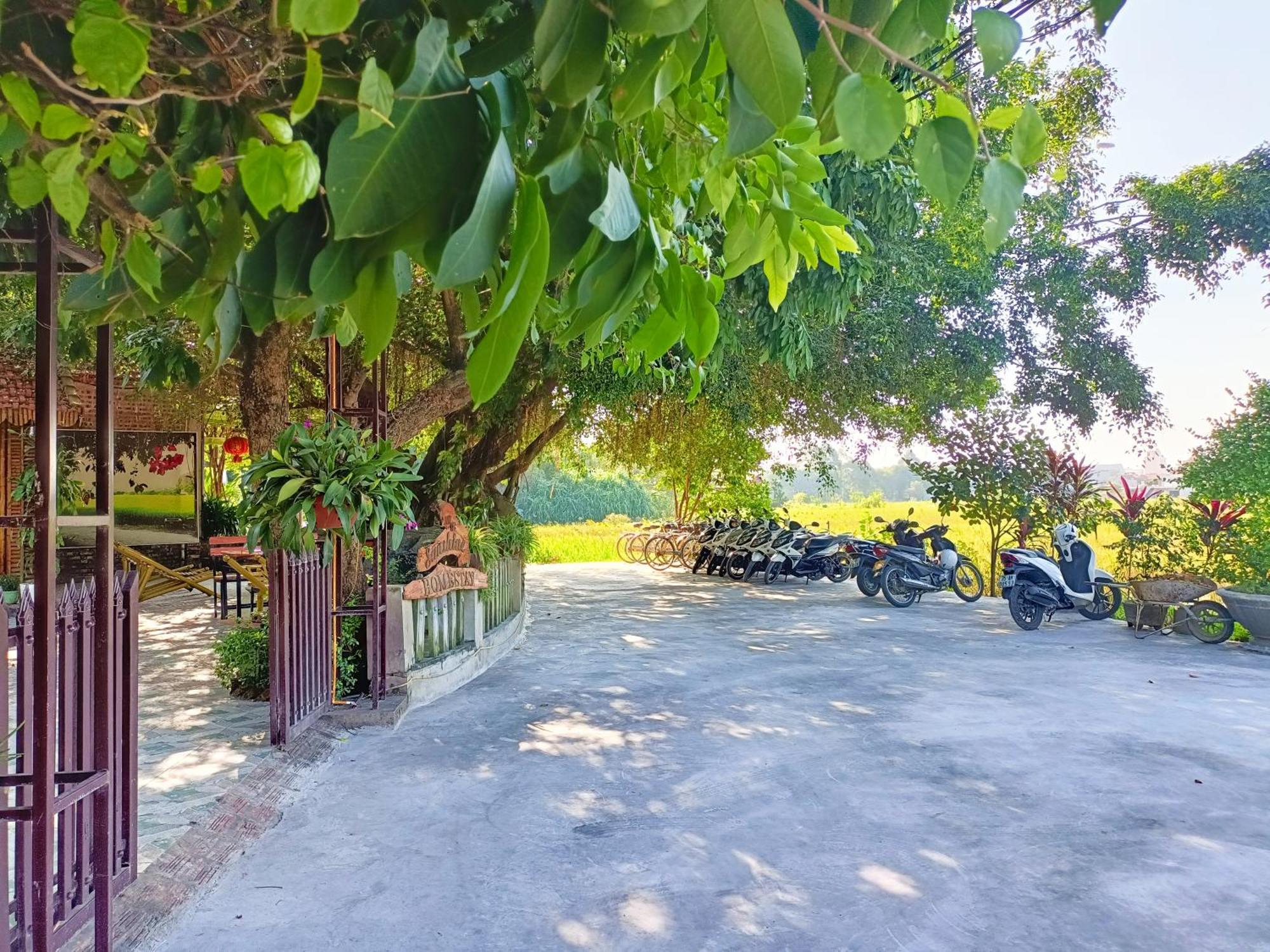 Tam Coc Sunshine Homestay Ninh Binh Exterior photo