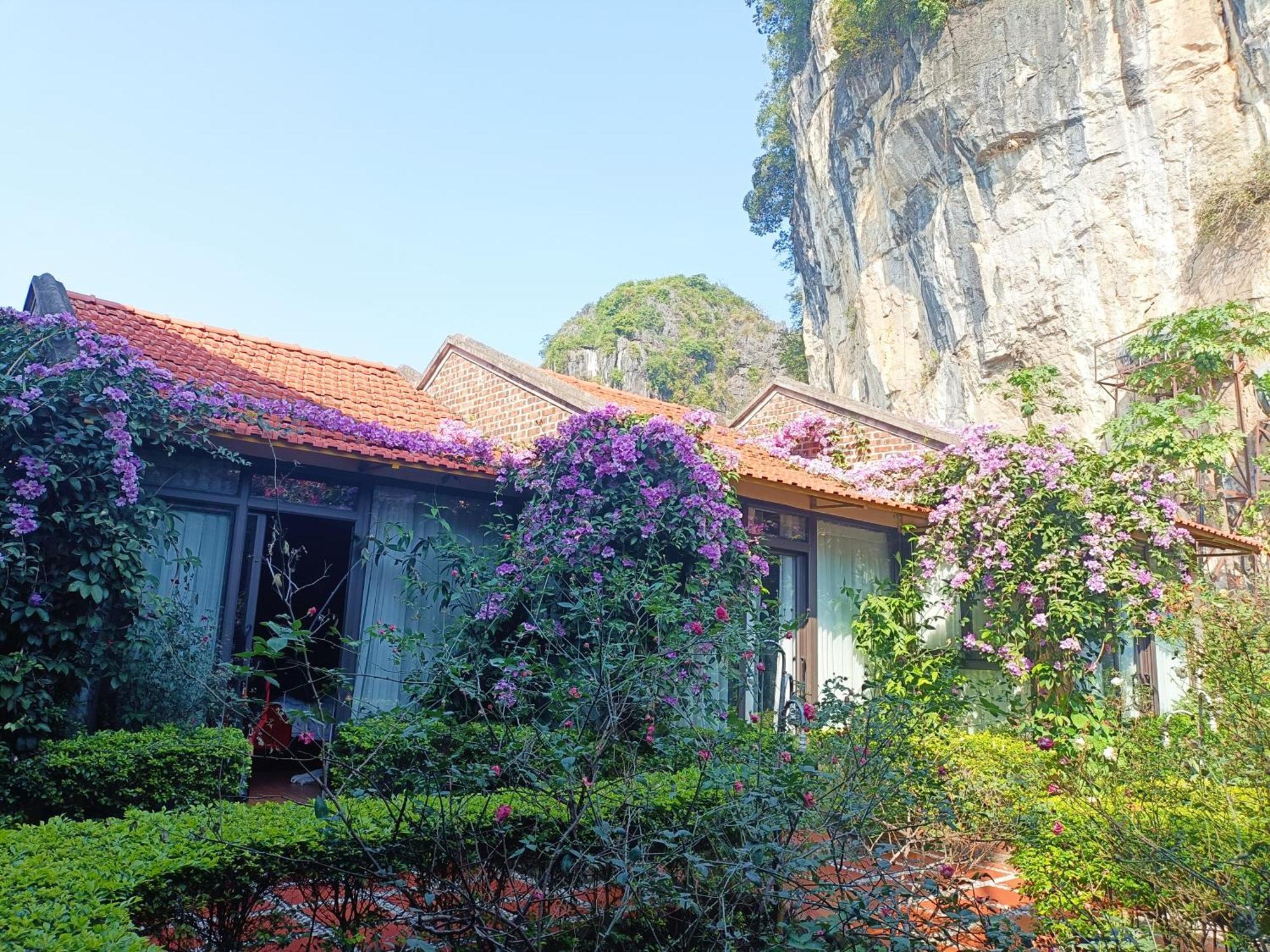 Tam Coc Sunshine Homestay Ninh Binh Exterior photo