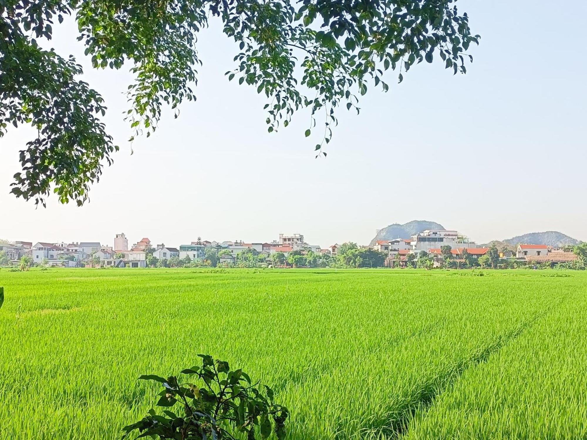 Tam Coc Sunshine Homestay Ninh Binh Exterior photo