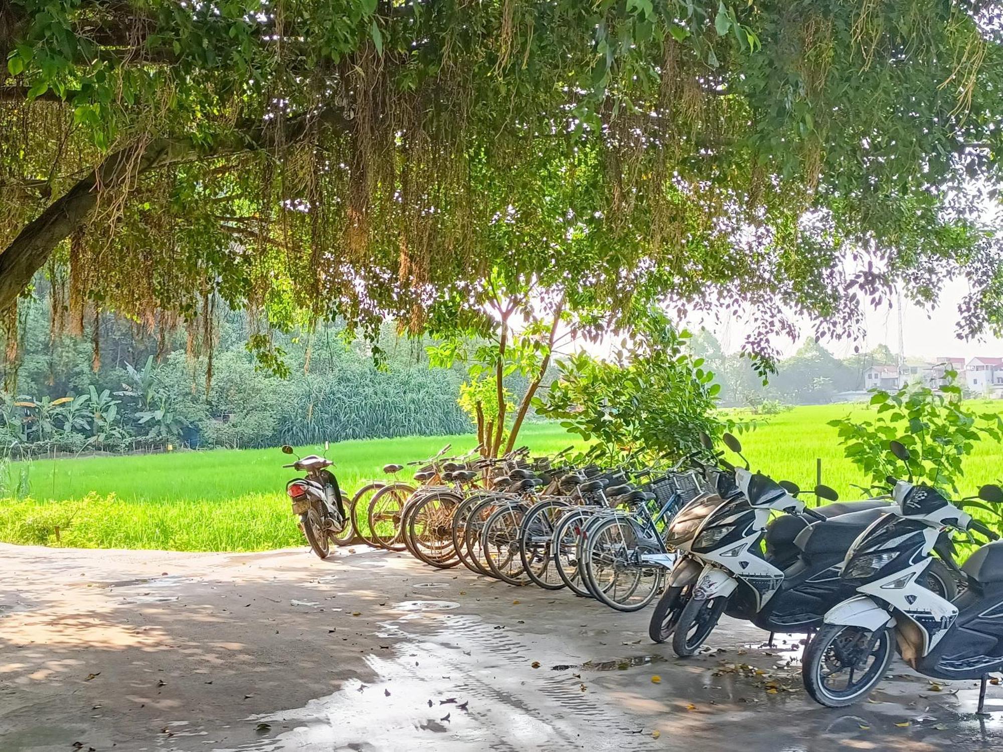 Tam Coc Sunshine Homestay Ninh Binh Exterior photo