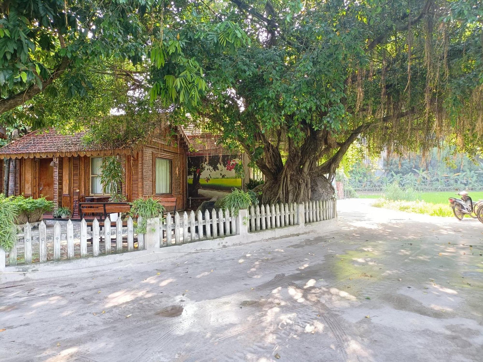 Tam Coc Sunshine Homestay Ninh Binh Exterior photo